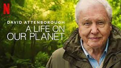 A Life on Our Planet — show artwork