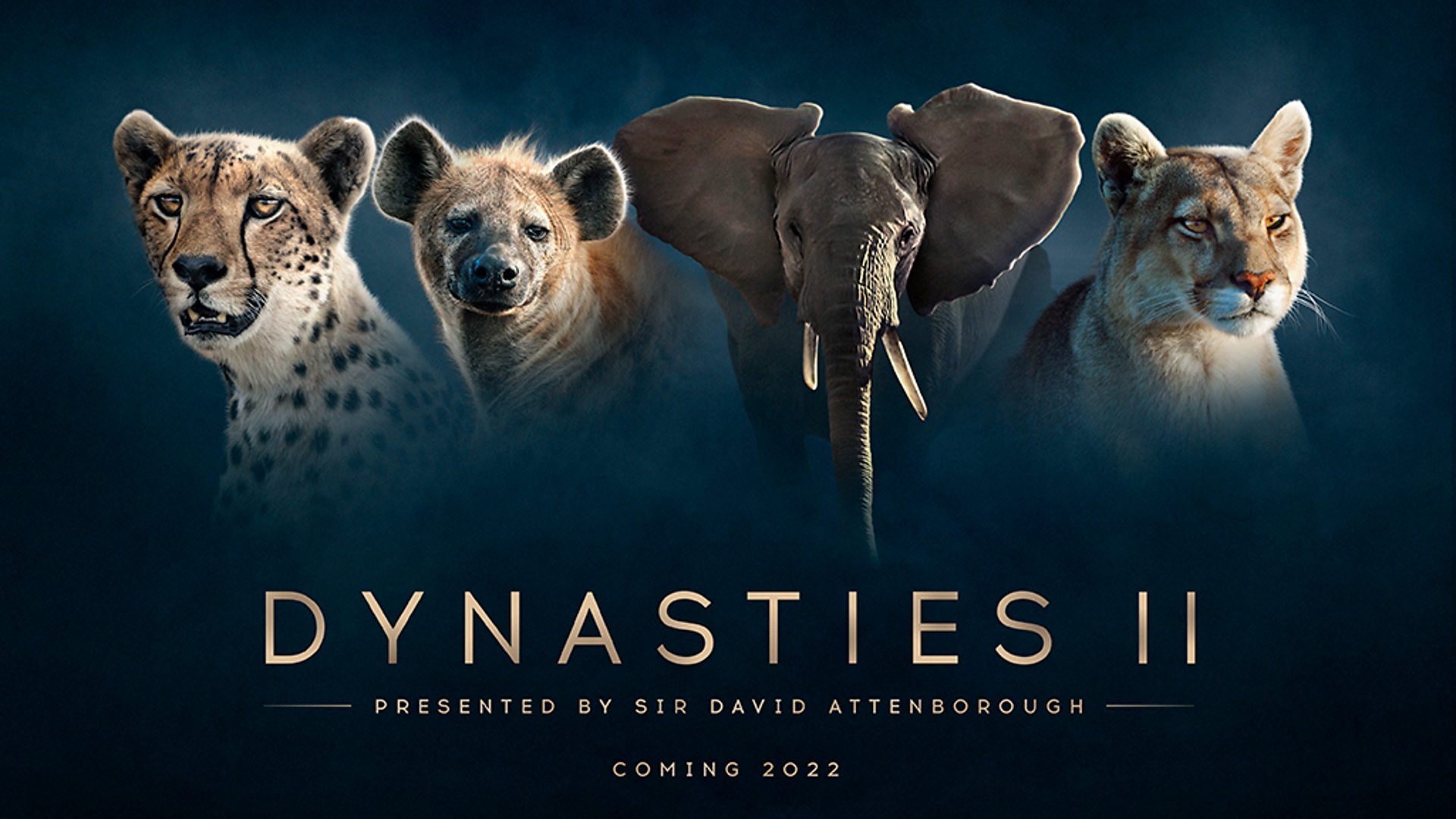 Dynasties II — show artwork
