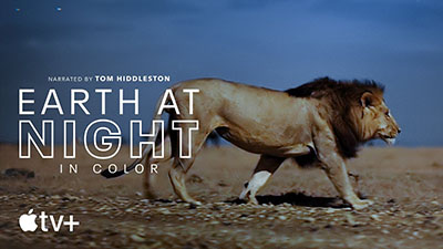 Earth at Night in Color — show artwork