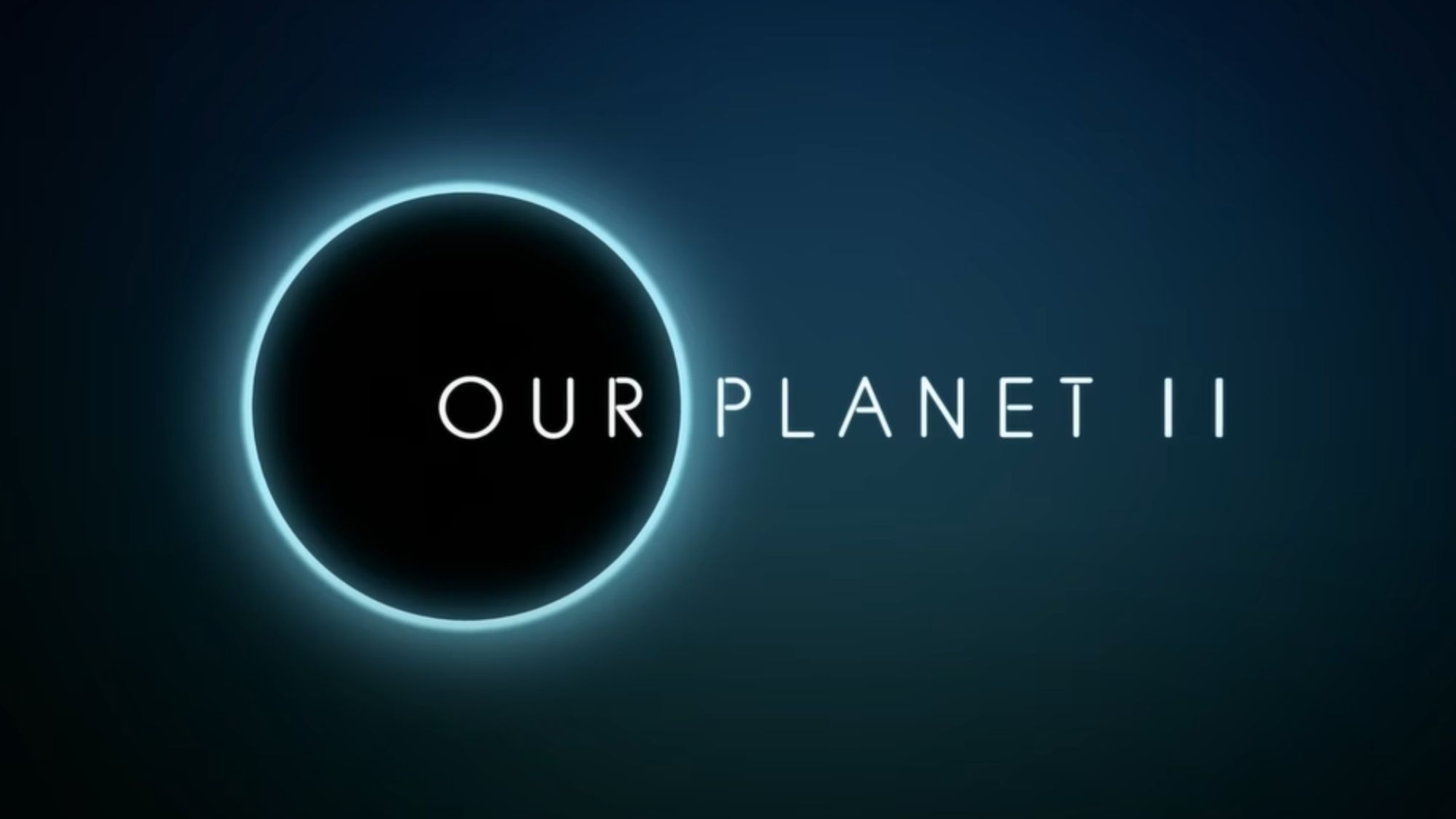 Our Planet II — show artwork