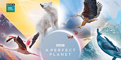 A Perfect Planet — show artwork