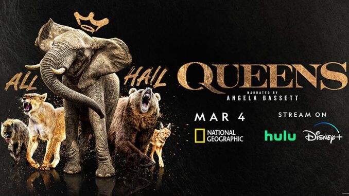 Queens — show artwork
