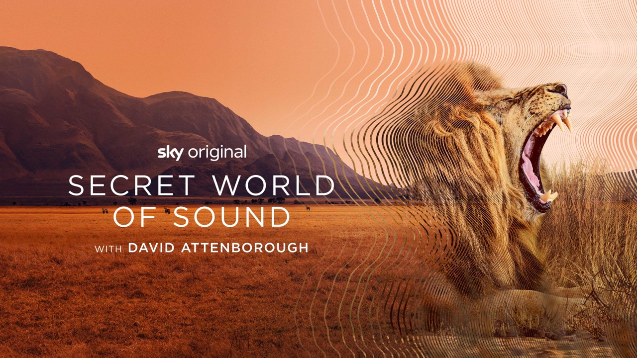 Secret World of Sound — show artwork